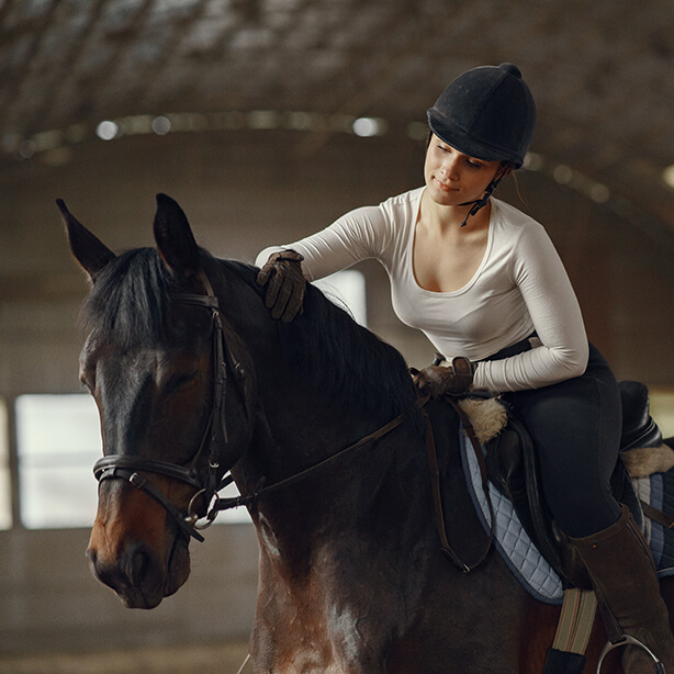 Caballo en entrenamiento